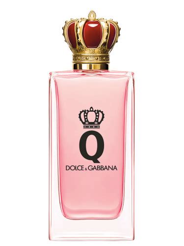 dolce gabbana nuevo